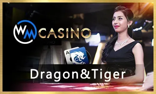 Spinplus Live Blackjack table with cards and chips