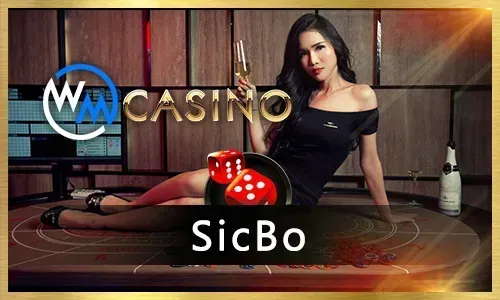 Spinplus Live Baccarat table with cards