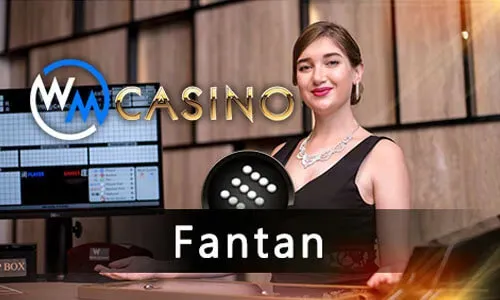 Bingo Variations on spinplus